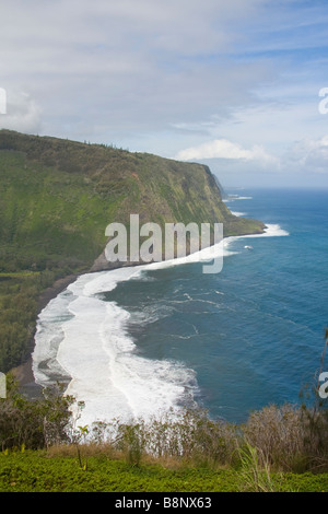 Ansicht des Waipiʻo-Tals von Lookout - Big Island, Hawaii, Vereinigte Staaten von Amerika Stockfoto