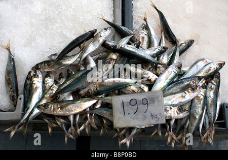 Frischer Fisch für den Verkauf auf zerstoßenem Eis am Markt Stockfoto