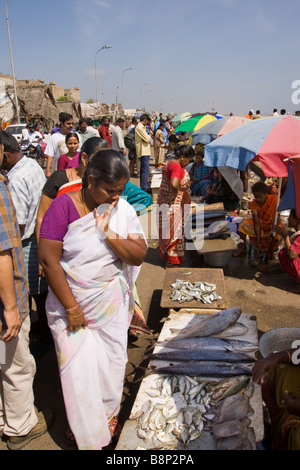 Indien-Tamil Nadu Chennai Strand Fisch Marktfrau am kleinen am Straßenrand Stall zu verkaufen frisch gefangen Fisch Stockfoto