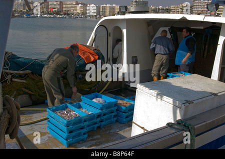 Schalen mit frischen frisch gefangenen Fisch Fishermans Fang bereit zum Entladen auf eine Fischerei Trawler Santa Pola Spanien Stockfoto