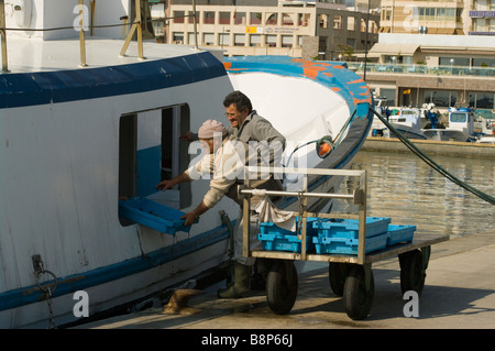 kommerzielle Fischer entladen ihre fangen aus ein Fishing Trawler Santa Pola Spanien Stockfoto