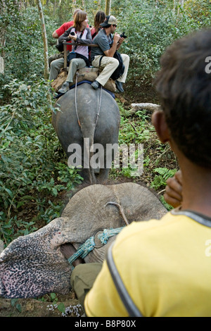 Elefantenritte sind eine der wichtigsten Sehenswürdigkeiten in Chitwan Nationalpark Nepal Chitwan Stockfoto