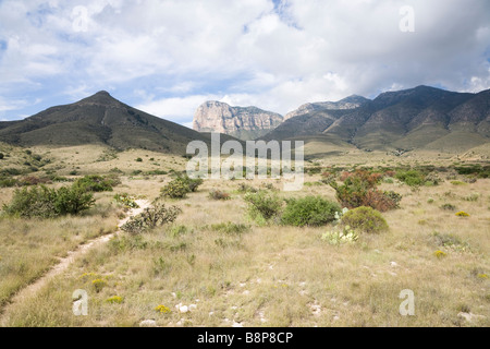 Guadalupe Mountains Nationalpark in Texas, USA Stockfoto