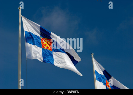 Zwei finnische Zustandsflags fliegen in der Kalevala-Tag. Das Kalevala ist das finnische Nationalepos, Helsinki, Finnland, Europa. Stockfoto