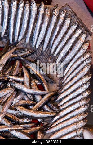 Eine Darstellung der Fische in einem türkischen Fischmarkt Stockfoto