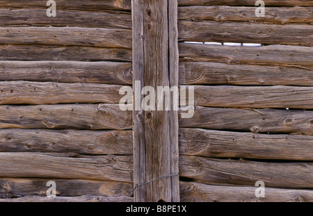 Drop-Log Wandaufbau, Outback Australien Stockfoto