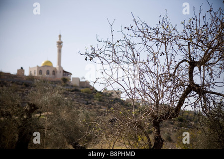 Farkha co Ramallah Westjordanland Tenor des palästinensischen Farmers Union PFU Stockfoto