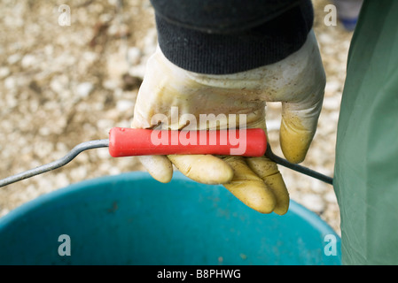 Behandschuhte Hand tragen Eimer, beschnitten Stockfoto