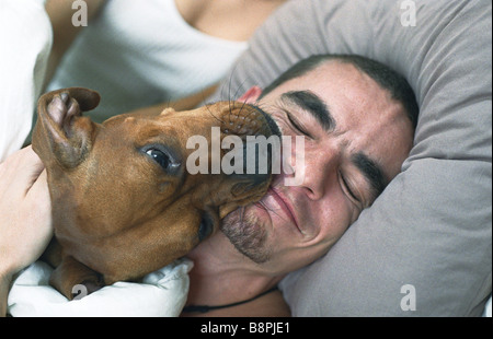 Hund leckt schlafenden Mann lächelndes Gesicht Stockfoto