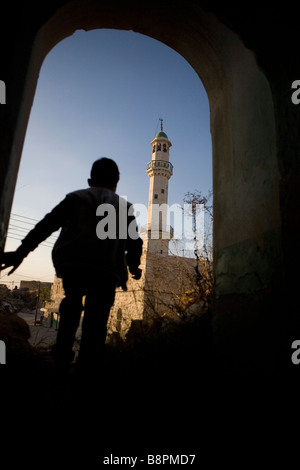 Lokalmatador Farkha co Ramallah Westjordanland Tenor des palästinensischen Farmers Union PFU Stockfoto