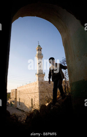 Lokalmatador Farkha co Ramallah Westjordanland Tenor des palästinensischen Farmers Union PFU Stockfoto