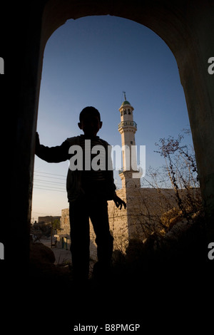 Lokalmatador Farkha co Ramallah Westjordanland Tenor des palästinensischen Farmers Union PFU Stockfoto