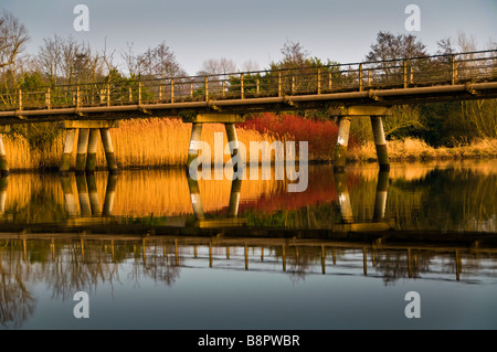 Brücke über die Slaney Stockfoto