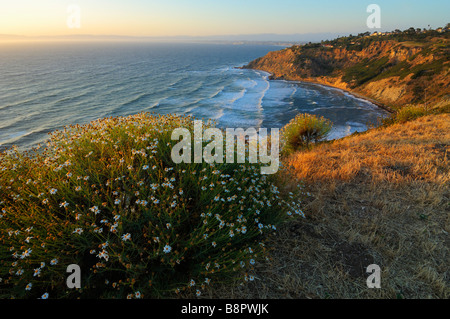 Sonnenuntergang über Palos Verdes Estates Shoreline Preserve, Los Angeles CA Stockfoto