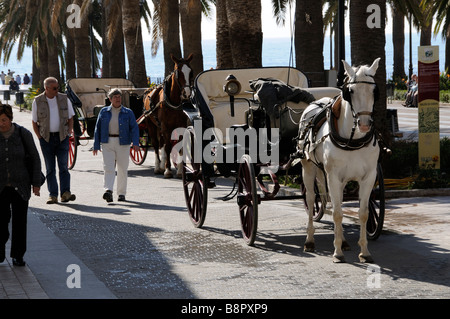 Pferdekutsche-Taxi in das Zentrum von Nerja in Südspanien warten Brauch am Straßenrand Stockfoto