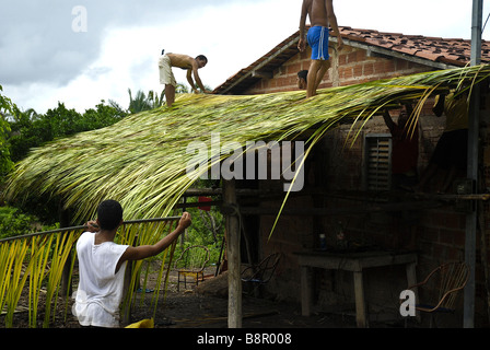 Bau Haus mit Babaçu Baum Blätter Stockfoto