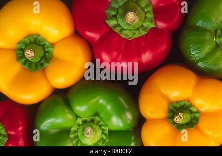 Gemischte rote, gelbe und grüne Paprika. Stockfoto