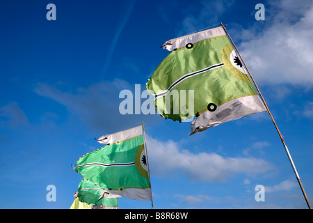 Flaggen auf dem Display an Lloyd Park Croydon Surrey Stockfoto