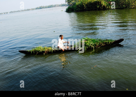 Mann im Kanu auf den Backwaters von Kerala, Südindien. Stockfoto