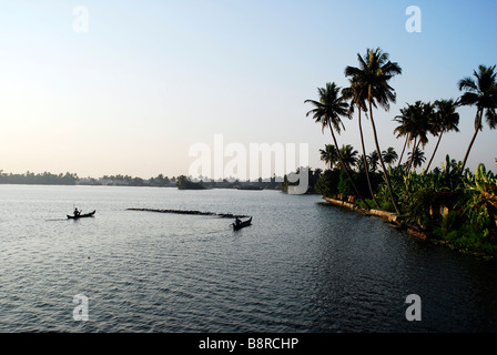 Landwirte mit ihren gehört der Enten schwimmen durch das Morgenlicht in den Backwaters von Kerala, Südindien. Stockfoto