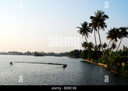 Landwirte mit ihren gehört der Enten schwimmen durch das Morgenlicht in den Backwaters von Kerala, Südindien. Stockfoto