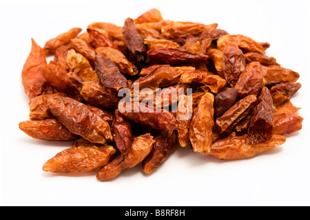 Getrocknete Paprika auf weißem Hintergrund Stockfoto