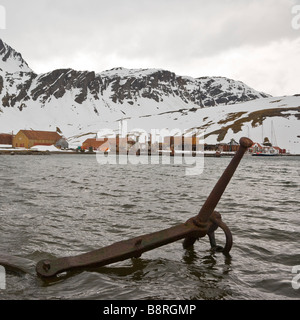 Grytviken, Südgeorgien Insel, UK - Anker Stockfoto