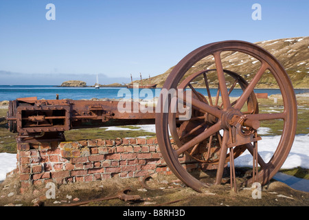 Ocean Harbour, South Georgia Island, UK - Walfang Relikt, Schiffbruch Bayard, Walfangschiff, goldenen Vlies Segelyacht Stockfoto