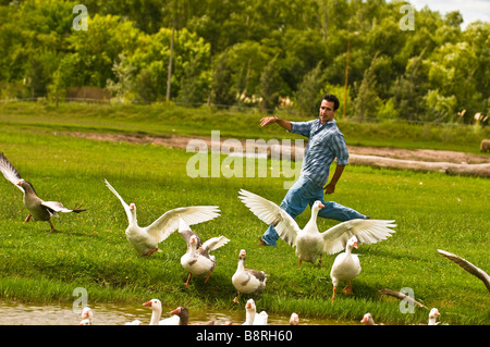 Estancia Ranch außerhalb von Buenos Aires Stockfoto