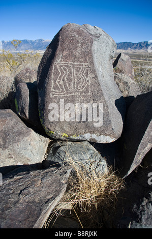 Indianische Petroglyphen in Three Rivers Petroglyph Site in New Mexico Stockfoto