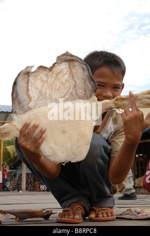 Junge hält getrocknet Oktopus Semporna Sabah Malaysia Borneo in Südostasien Stockfoto