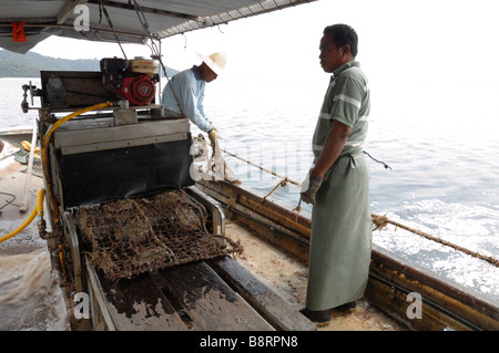 Mechanische Reinigung der marine Bewuchs vom Zahnrad auf Boot japanische Perle Bauernhof Darvel Bay Sulusee Malaysia Sout-Ost-Asien Stockfoto