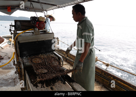 Mechanische Reinigung der marine Bewuchs vom Zahnrad auf Boot japanische Perle Bauernhof Darvel Bay Sulusee Malaysia Sout-Ost-Asien Stockfoto