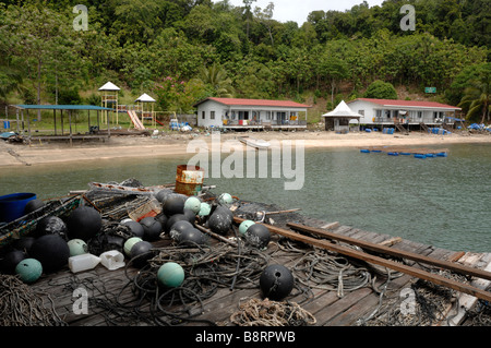 Landgestützte Betrieb japanische Perlenfarm Darvel Bay Sulusee Malaysia in Südostasien Stockfoto