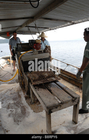 Mechanische Reinigung der marine Bewuchs vom Zahnrad auf Boot japanische Perle Bauernhof Darvel Bay Sulusee Malaysia Sout-Ost-Asien Stockfoto