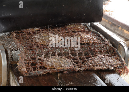 Mechanische Reinigung der marine Bewuchs vom Zahnrad auf Boot japanische Perle Bauernhof Darvel Bay Sulusee Malaysia Sout-Ost-Asien Stockfoto