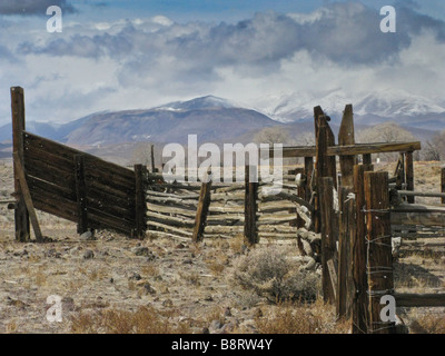 Rinder-Rutsche und Corral mit schneebedeckten Bergen im Hintergrund Stockfoto