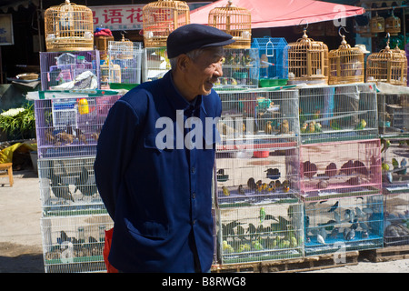 Vogel-Händler in Mao Uniform auf dem Markt der Lijiang, China Stockfoto