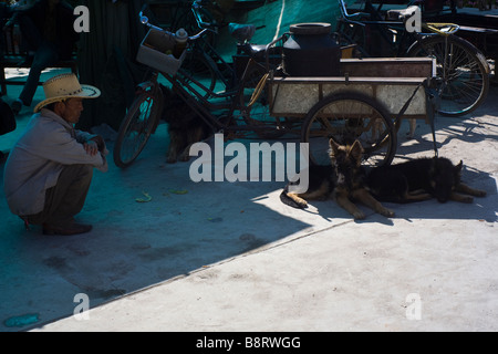 Chinesischen Cowboy mit seinem deutschen Hirten auf den pet-Markt in Lijiang, Provinz Yunnan, China. Stockfoto