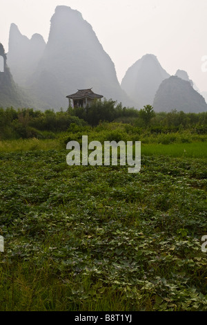 Karst Gebirgslandschaft rund um Yangshuo und dem Li-Fluss in der Nähe von Guilin, Provinz Guangxi, China. Stockfoto