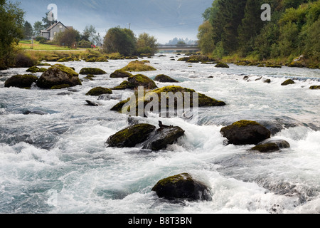 Stromschnellen in Strom fließt vom See Floen in Richtung Olden Stockfoto