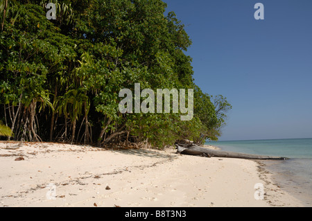 Küstenlinie Sipadan Malaysia Celebes-See Borneo in Südostasien Stockfoto