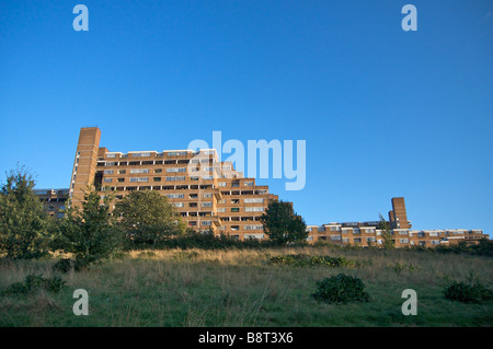 Dawsons Heights, einem Wohnblock in East Dulwich South East London Stockfoto