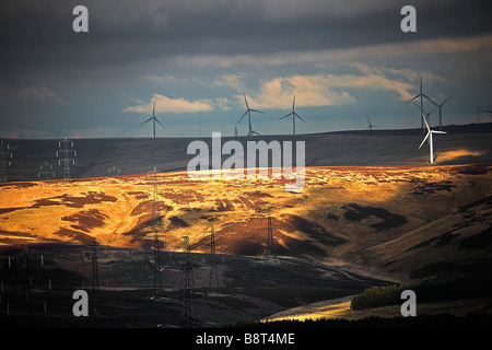 Lammermuir Hügel. East Lothian. Scottish Borders. Schottland. Stockfoto