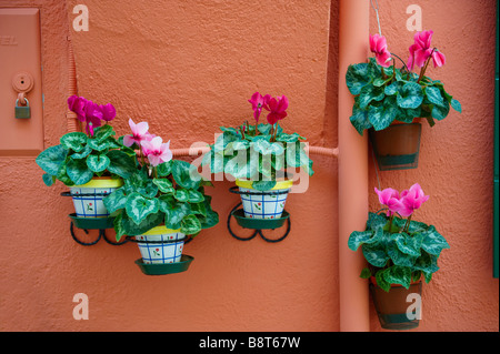 Cylemen an einer Wand in Burano Stockfoto