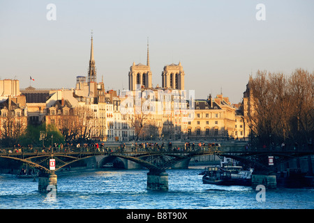 ILE DE LA CITÉ, PONT DES ARTS UND NOTRE DAME PARIS Stockfoto