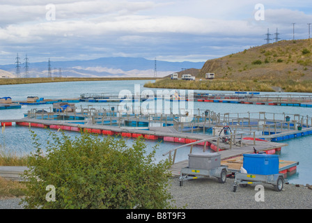 Eine Lachsfarm an einem Wasserkraftwerk Kanal Waitaki Becken Neuseeland Stockfoto