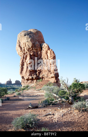 Sandstein-Formationen im Arches National Park Utah USA Stockfoto