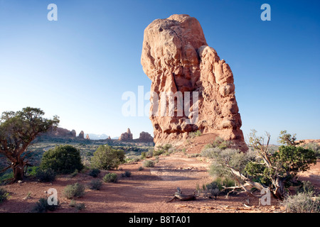 Sandstein-Formationen im Arches National Park Utah USA Stockfoto