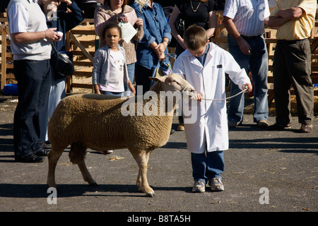 Jungen Aussteller in Masham Schafe Fair North Yorkshire England UK (c) Marc Jackson Photography Stockfoto